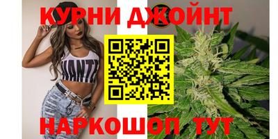 стафф Будённовск