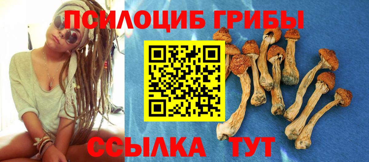 Псилоцибиновые грибы мицелий  Вход с VPN  Строитель 