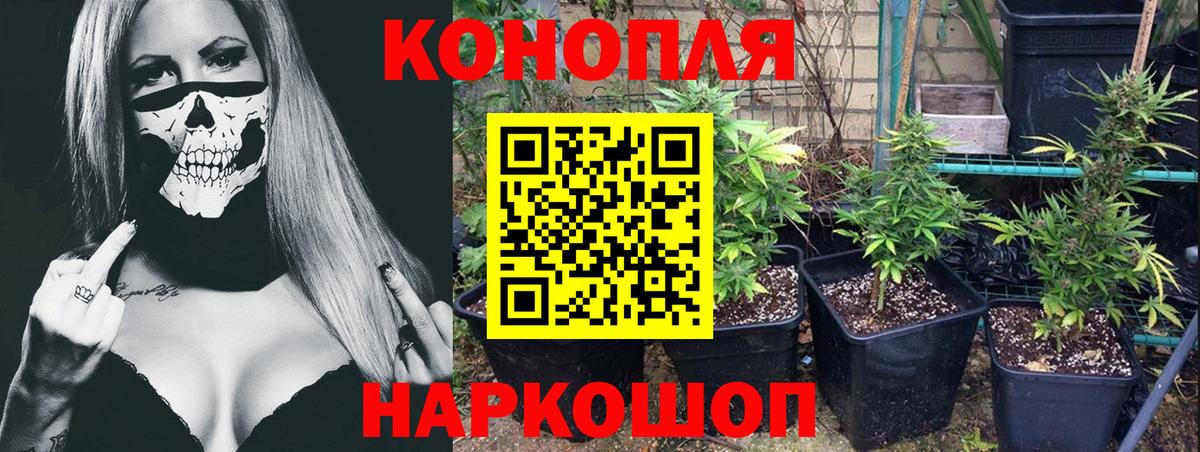 Шишки марихуана ГИДРОПОН Строитель